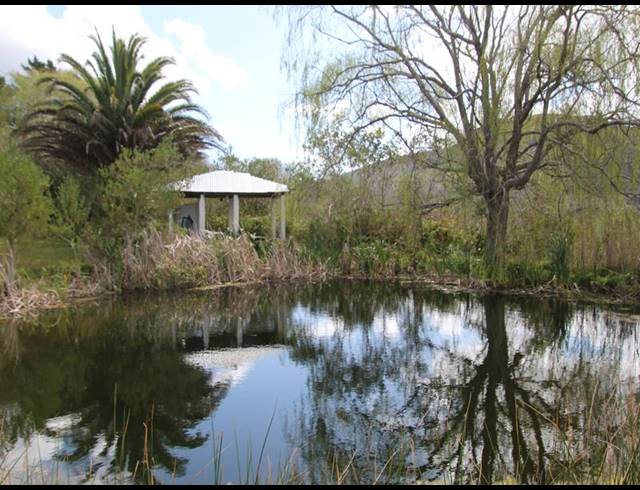 37HA FARM FOR SALE IN CALEDON RURAL